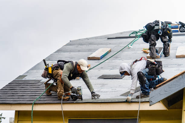 Professional Roofing technician working in Casey, IL